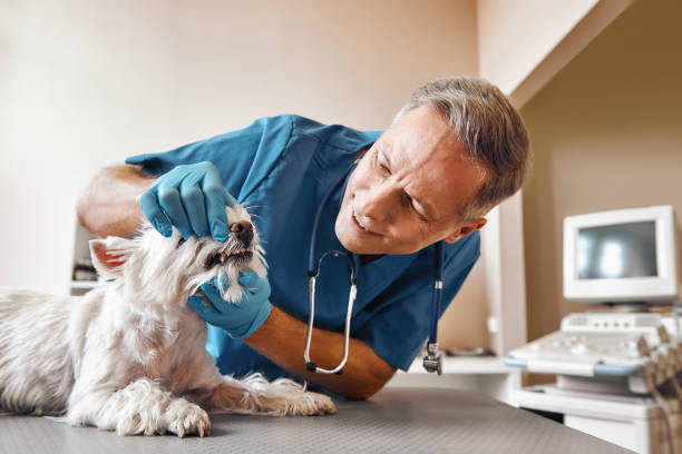 Best Urgent Dental Care in Geneva, AL